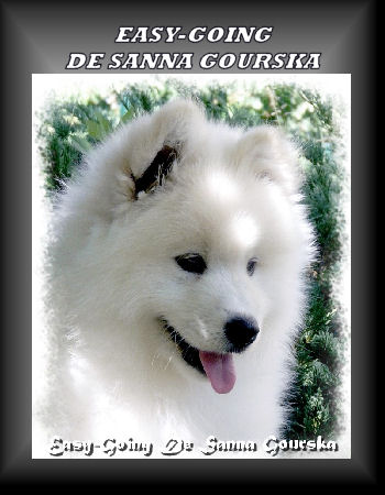 Easy-Going De Sanna Gourska