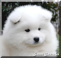 Sissi