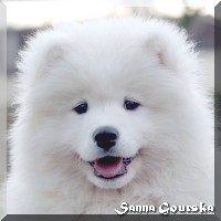 Timo