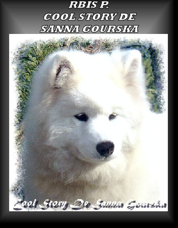 Cool Story De Sanna Gourska