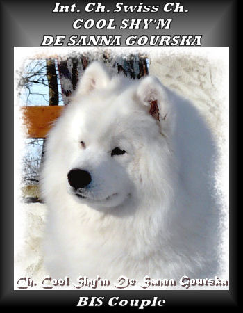 Ch. Cool Shy'm De Sanna Gourska