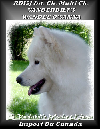Multi Ch. Vanderbilt's Wandee O'Sanna