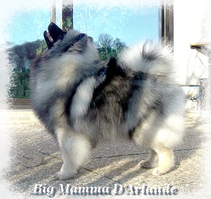 9 mois (9 months)