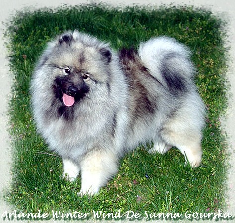 Windy 15 mois (15 months)
