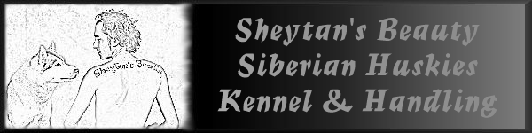 Sheytan's Beauty Kennel