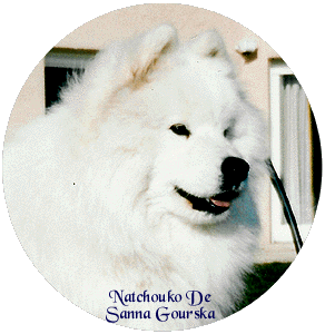Natchouko