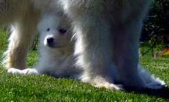 Cach� !