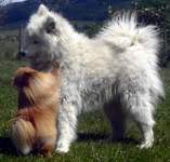 Sheena & Tan
