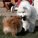 C'est � moi !!! (Tan & Thysonn)