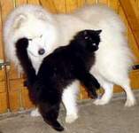 Natchouko et R�glisse