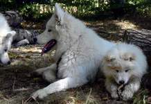 Une pose en promenade : Um� et Uxhanna
