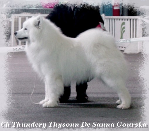 Thysonn