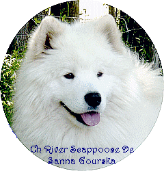 Scappoose