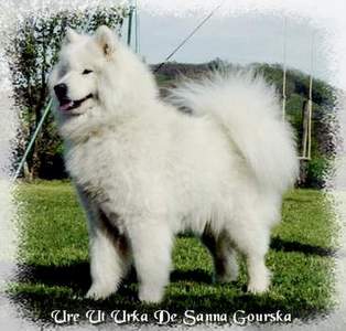 Urka