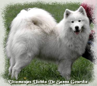 Uichka 1 an