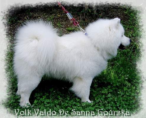 Valdo 20 mois (20 months)