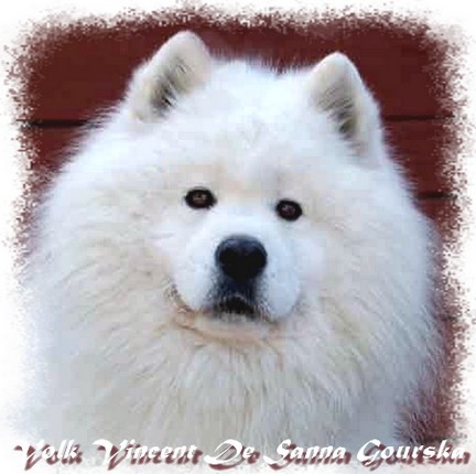 Vincent