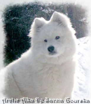 A�ka 7 mois (7 months)