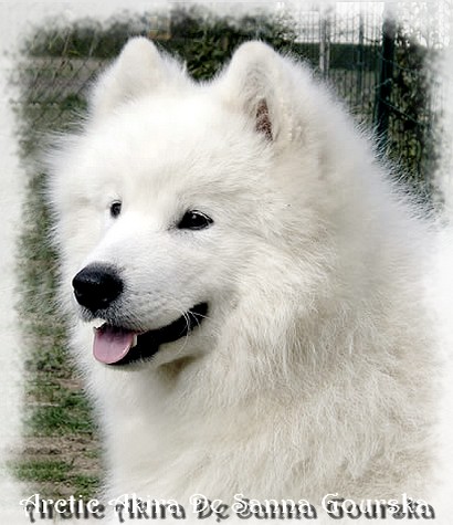 Akira 8 mois (8 months)