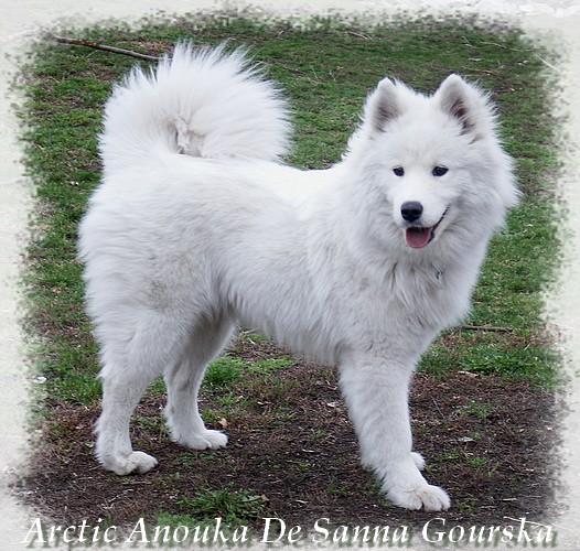 Anouka 9 mois (9 months)
