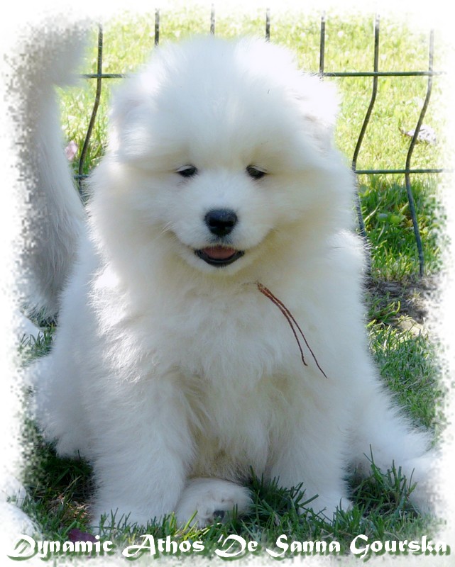 Athos