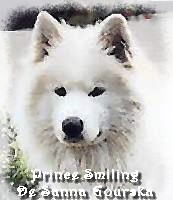 Prince