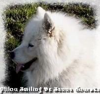 Ptilou