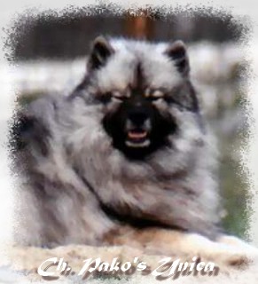 Michka