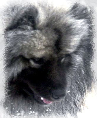 9 MOIS - 9 MONTHS