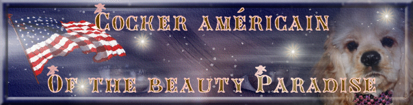 Beauty Paradise