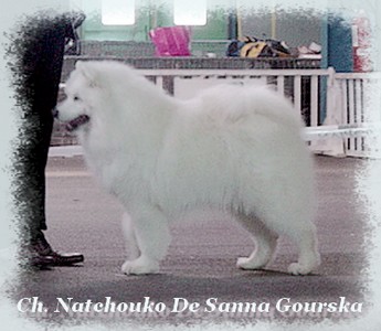 Natchouko