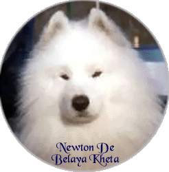 Newton