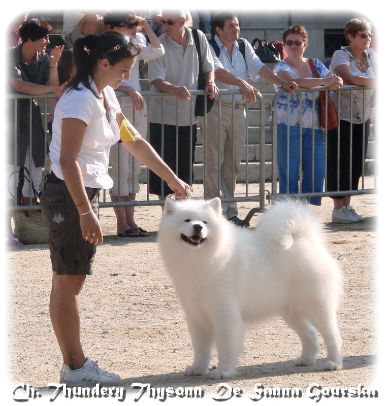 BIG Le Puy En Velay 2008