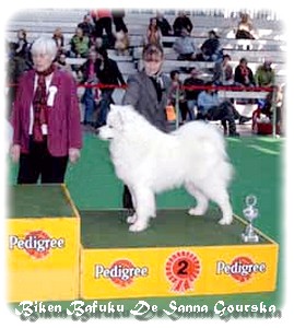 RBIG Lingen 2008