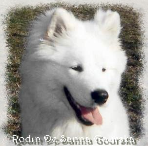 Rodin 5 mois (5 months)