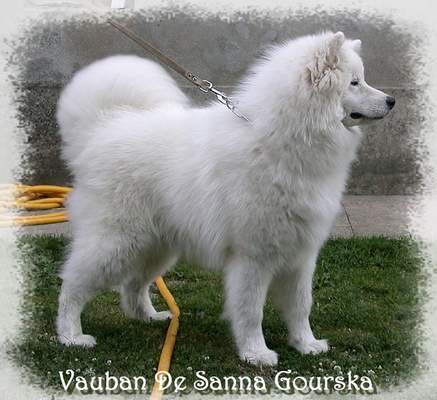 Vauban 9 mois (9 months)