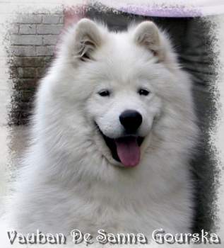 Vauban 9 mois (9 months)