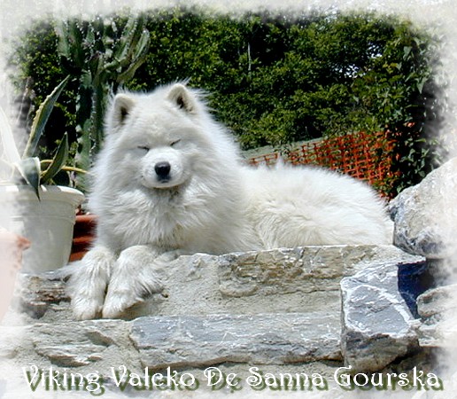 Valcko 18 mois (18 months)