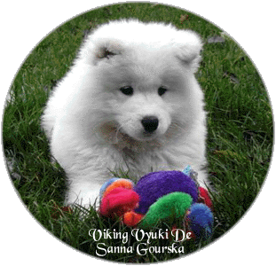Vyuki 10 semaines (10 weeks)