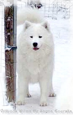 Wilma 15 mois (15 months)