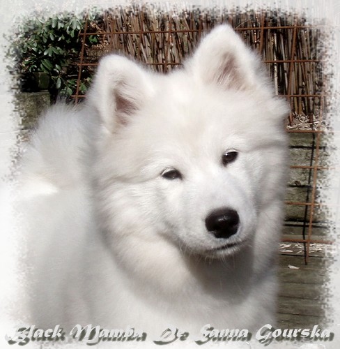4 mois (4 months)