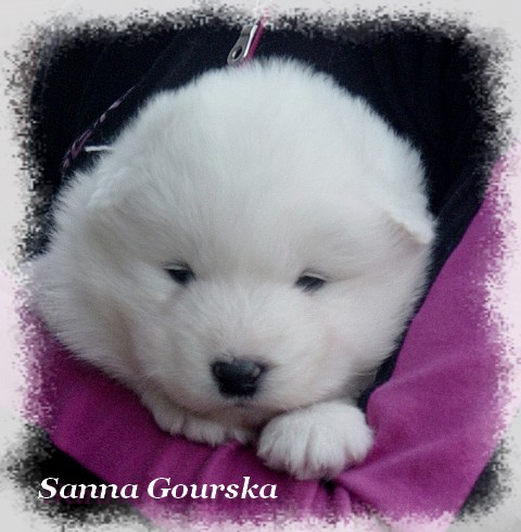 Beyoncé Knowles De Sanna Gourska - 3 semaines (3 weeks)