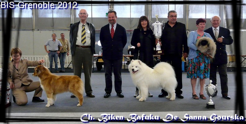 BIS Grenoble 2012