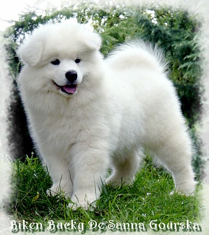 Bucky 2 mois (2 months)