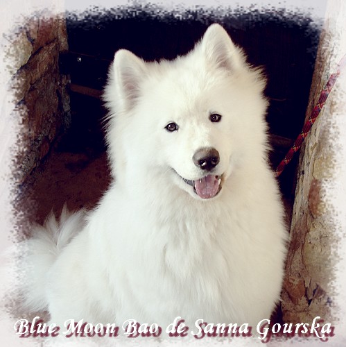 8 mois (8 months)