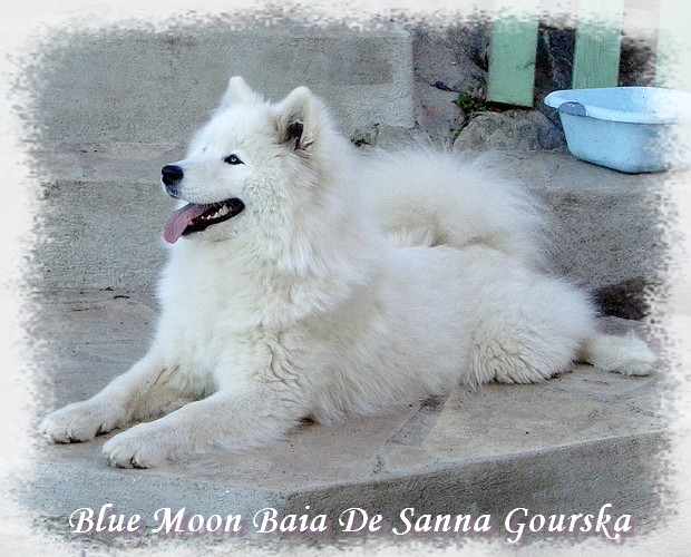 Baia 8 mois (8 months)