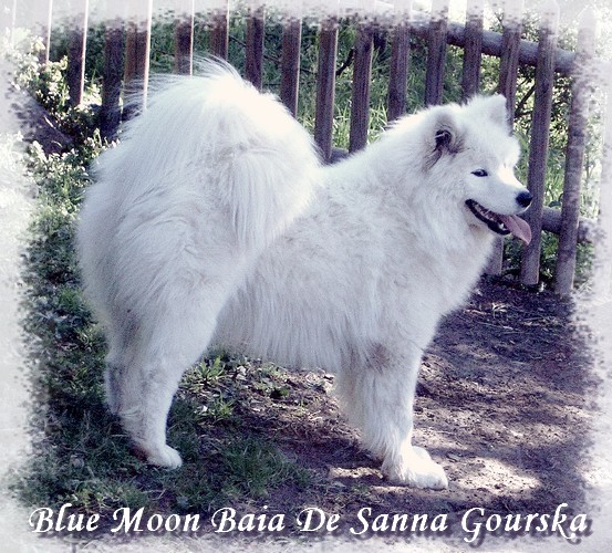 Baia 8 mois (8 months)