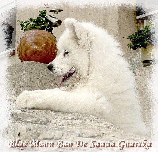Bao 3 mois (3 months)