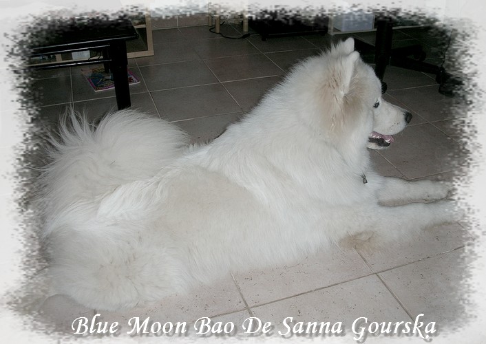 8 mois (8 months)