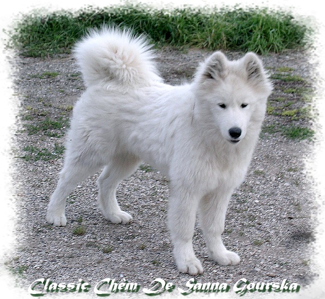 6 mois (6 months)